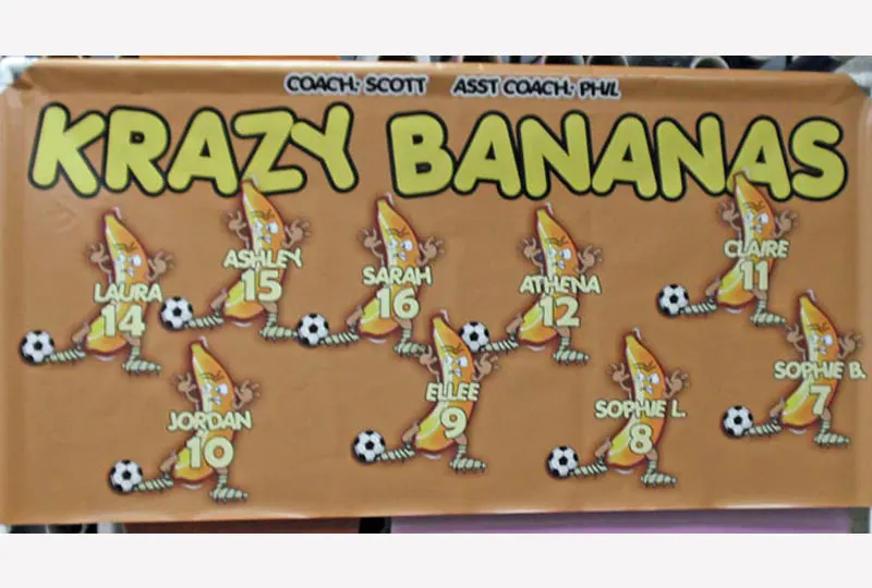 Krazy Bananas Banner