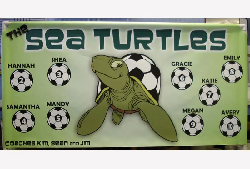 Sea Turtles Banner