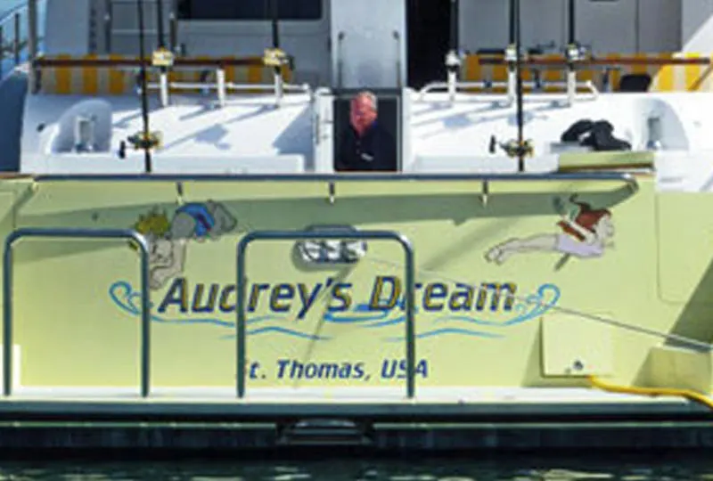 Audery's Dream Boat Graphic