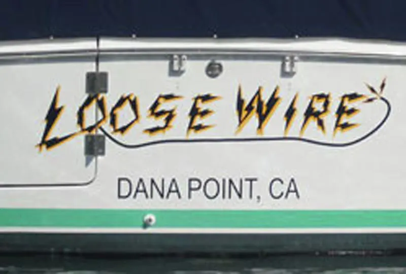 Loose Wire Boat Graphic