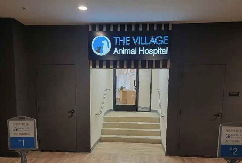 Acrylic Sign in Village Animal Hospital, Carlsbad