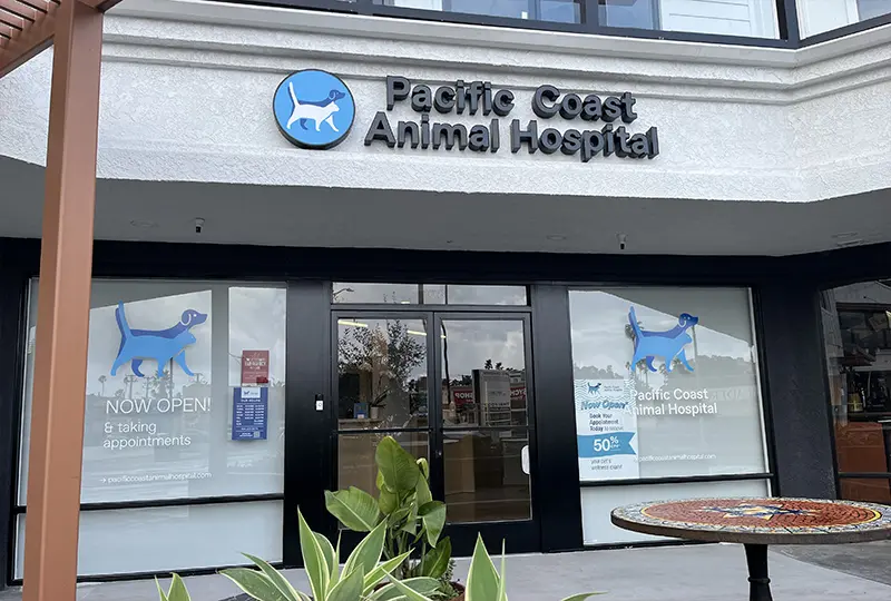 New Sign for Pacific Coast Animal Hospital in Redondo Beach