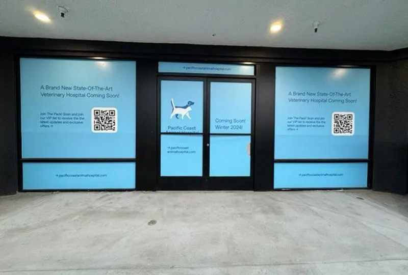 Window Graphics for Curopet in Redondo Beach Animal Hospital