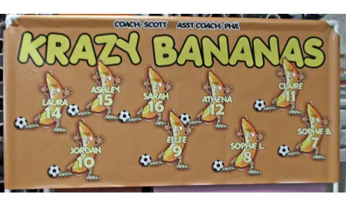 Krazy Bananas Banner