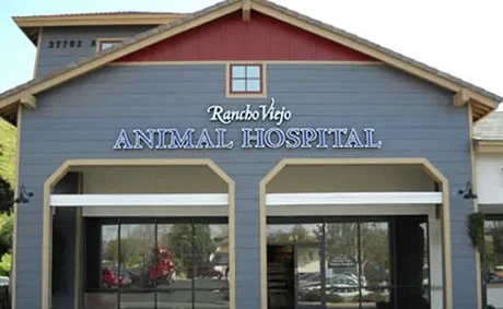 Hospital Exterior Lighted Signs/LED Channel Letter