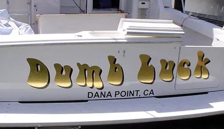 Catamaran Boat Lettering