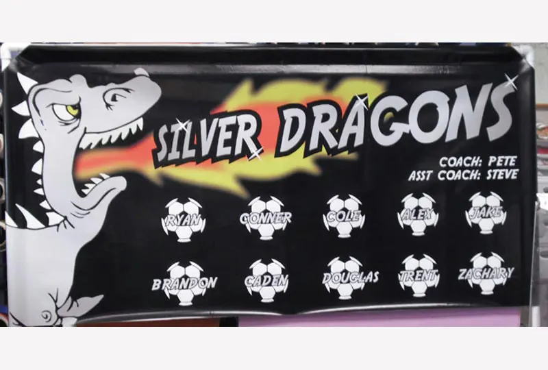 Silver Dragons Banner