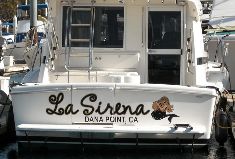 Custom Designed Vinyl Boat Graphic