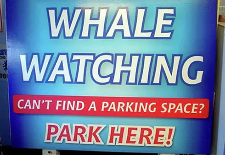 Attractive Panel & Post Signs Sign Company Irvine